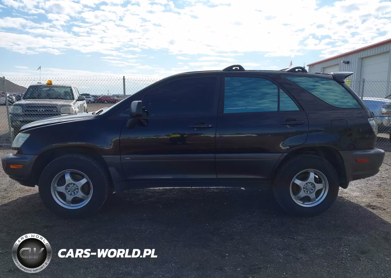 2002 Lexus Rx 300 VIN:JTJHF10U420270357 - 13