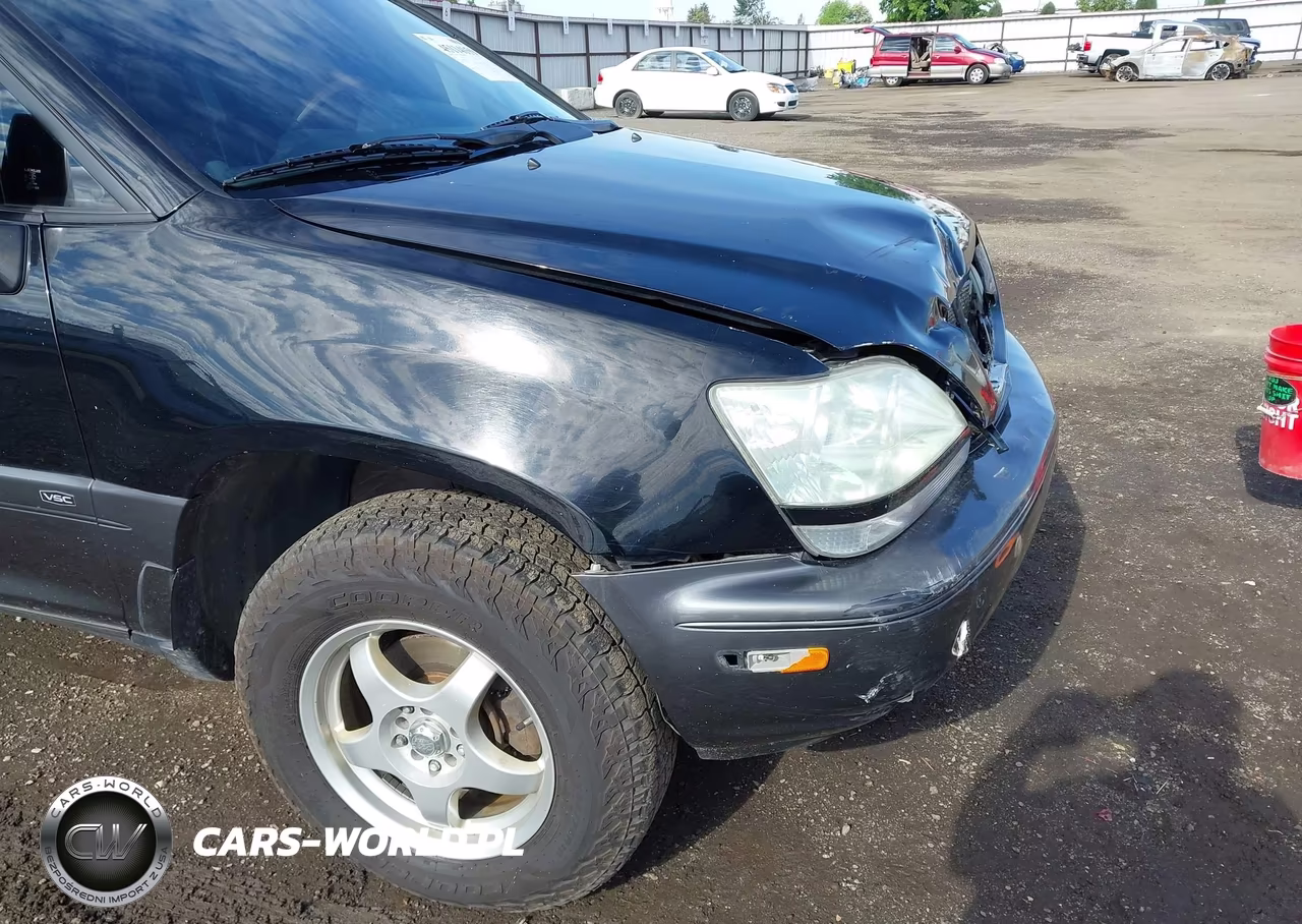 2002 Lexus Rx 300 VIN:JTJHF10U420270357 - 16