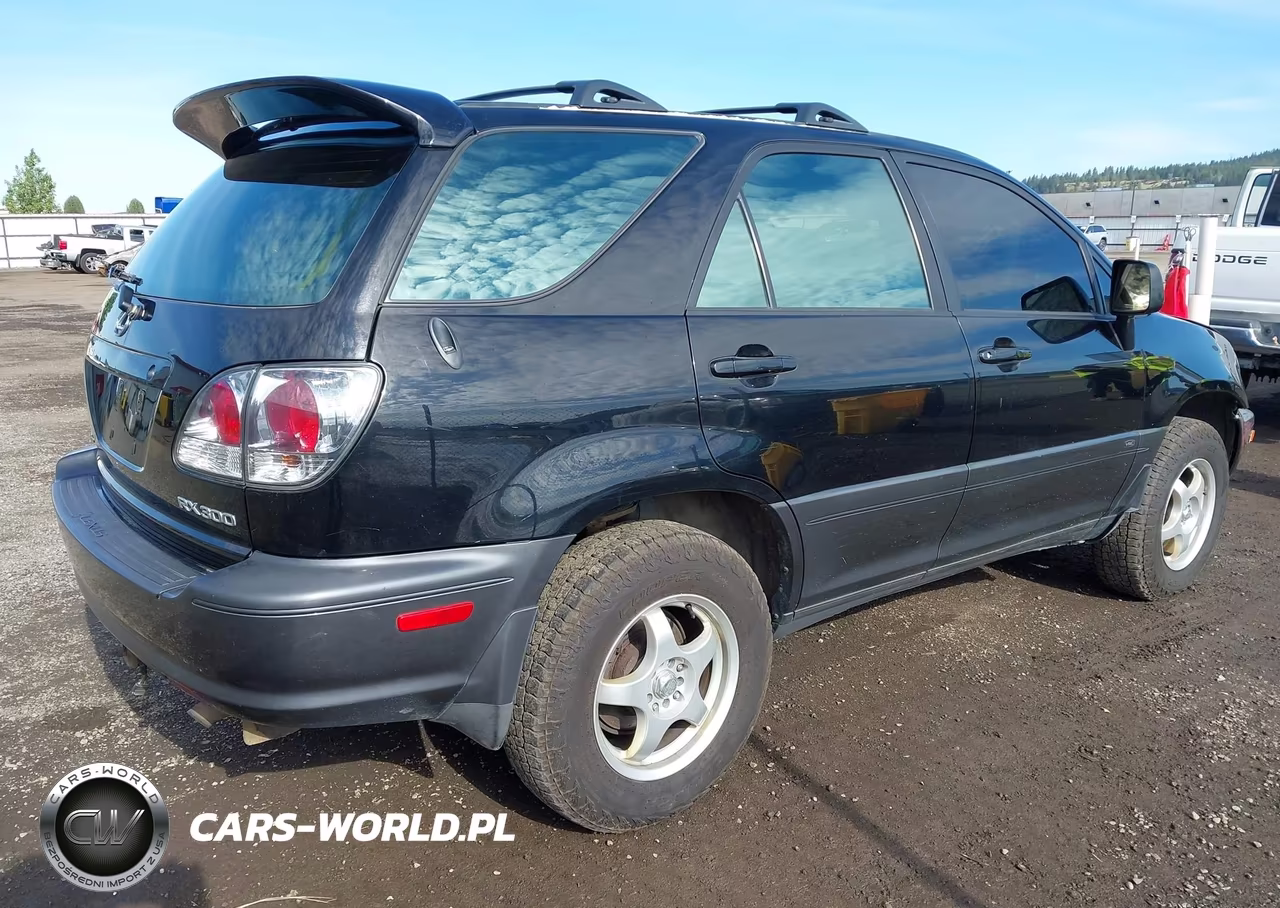 2002 Lexus Rx 300 VIN:JTJHF10U420270357 - 4