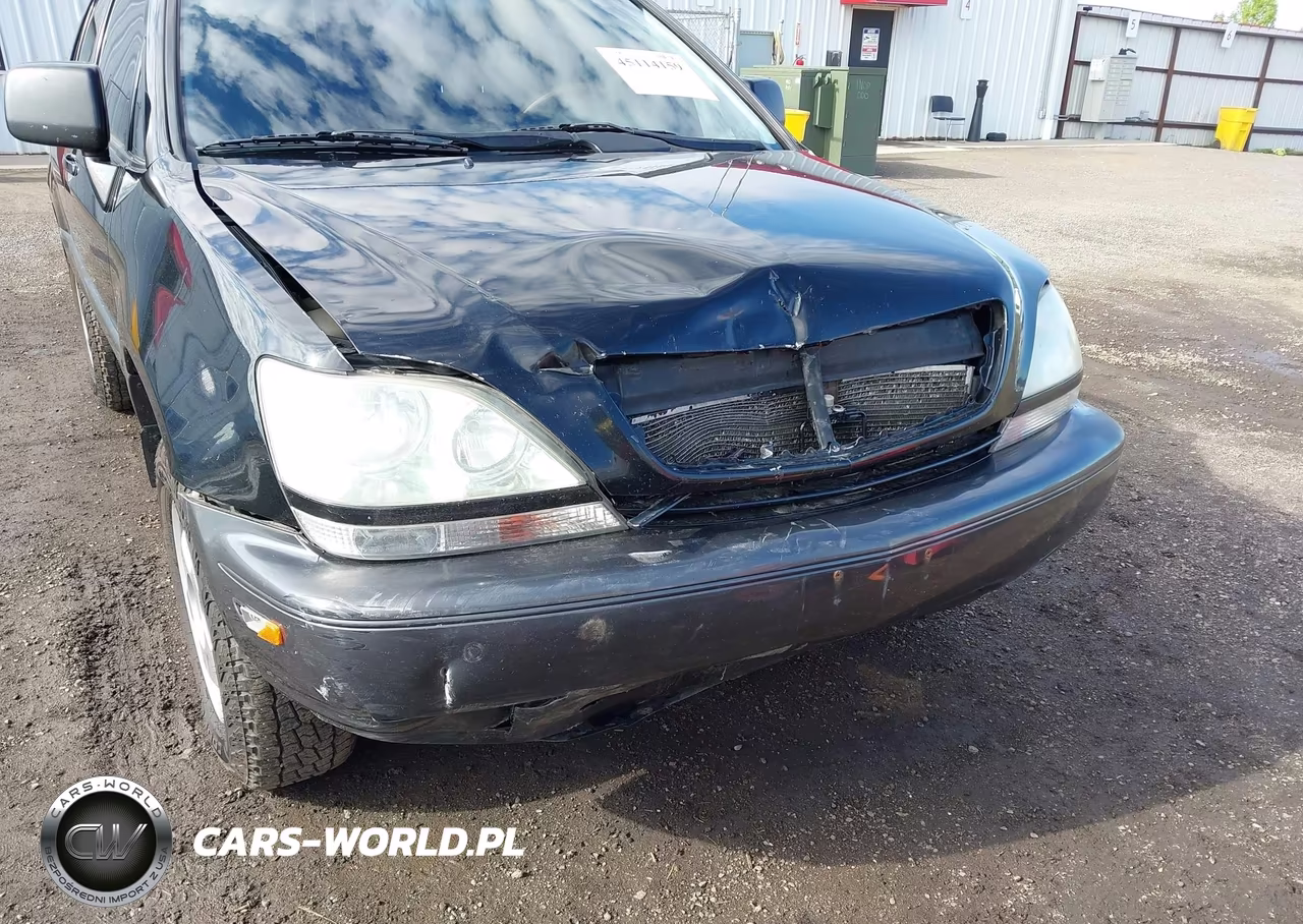 2002 Lexus Rx 300 VIN:JTJHF10U420270357 - 6