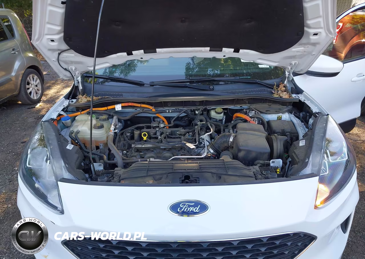 2021 Ford Escape Se Hybrid VIN:1FMCU0BZ7MUA23802 - 10