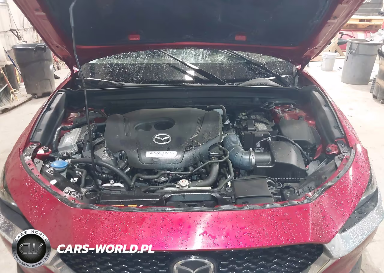 2022 Mazda Cx-30 2.5 Turbo Premium VIN:3MVDMBDY6NM424772 - 10