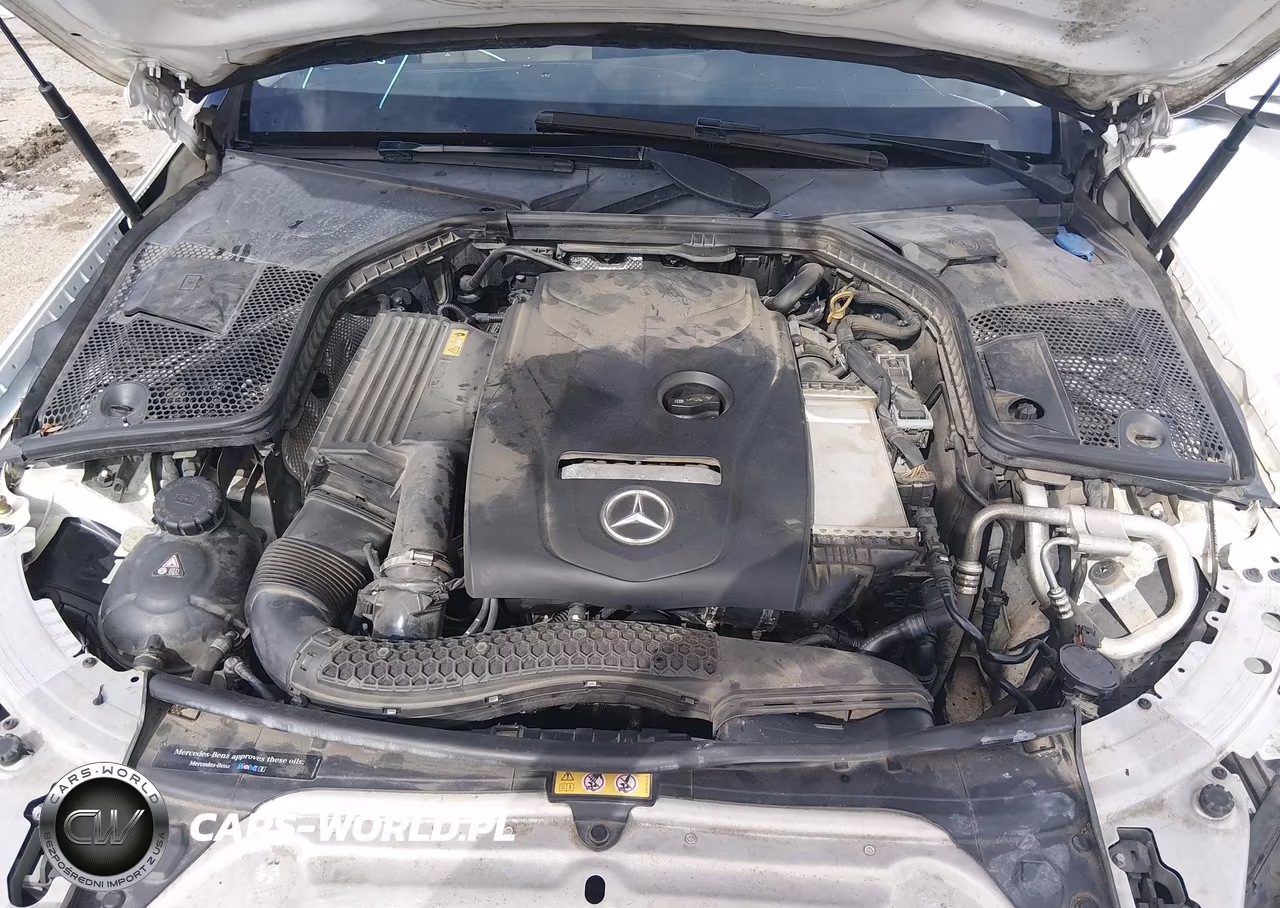 2018 Mercedes-Benz C 300 VIN:WDDWF4JB7JR390954 - 10