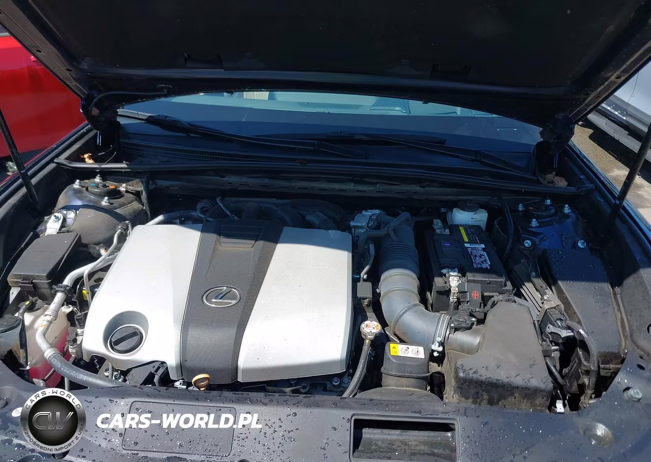 2020 Lexus Es 350 Luxury VIN:58AEZ1B10LU058280 - 10