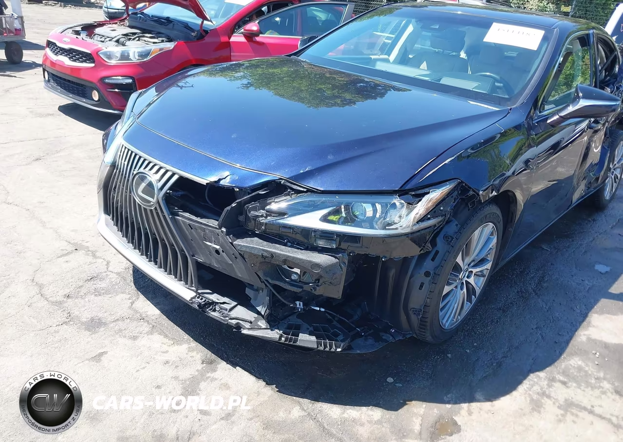 2020 Lexus Es 350 Luxury VIN:58AEZ1B10LU058280 - 18