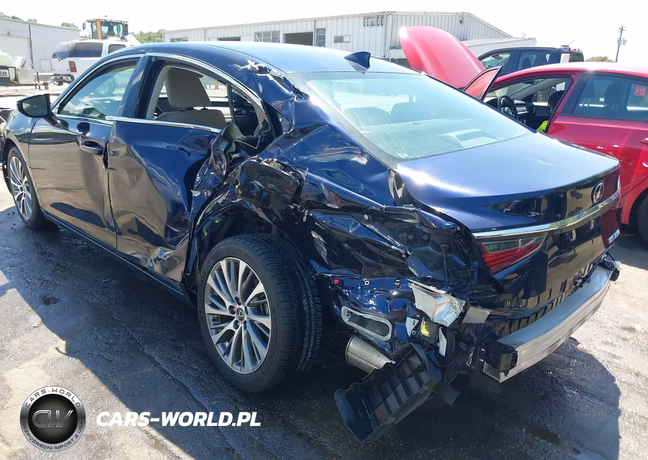 2020 Lexus Es 350 Luxury VIN:58AEZ1B10LU058280 - 6