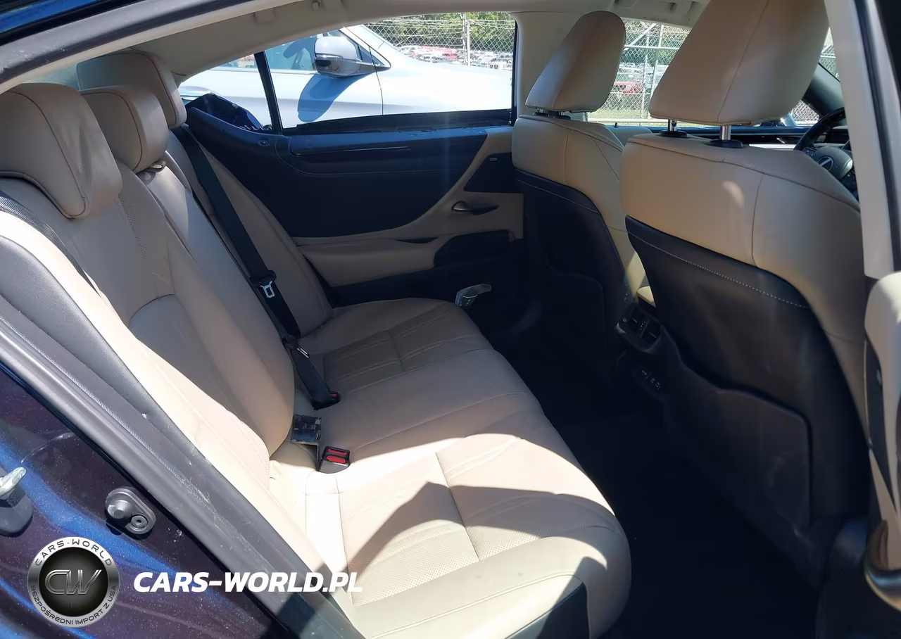 2020 Lexus Es 350 Luxury VIN:58AEZ1B10LU058280 - 8
