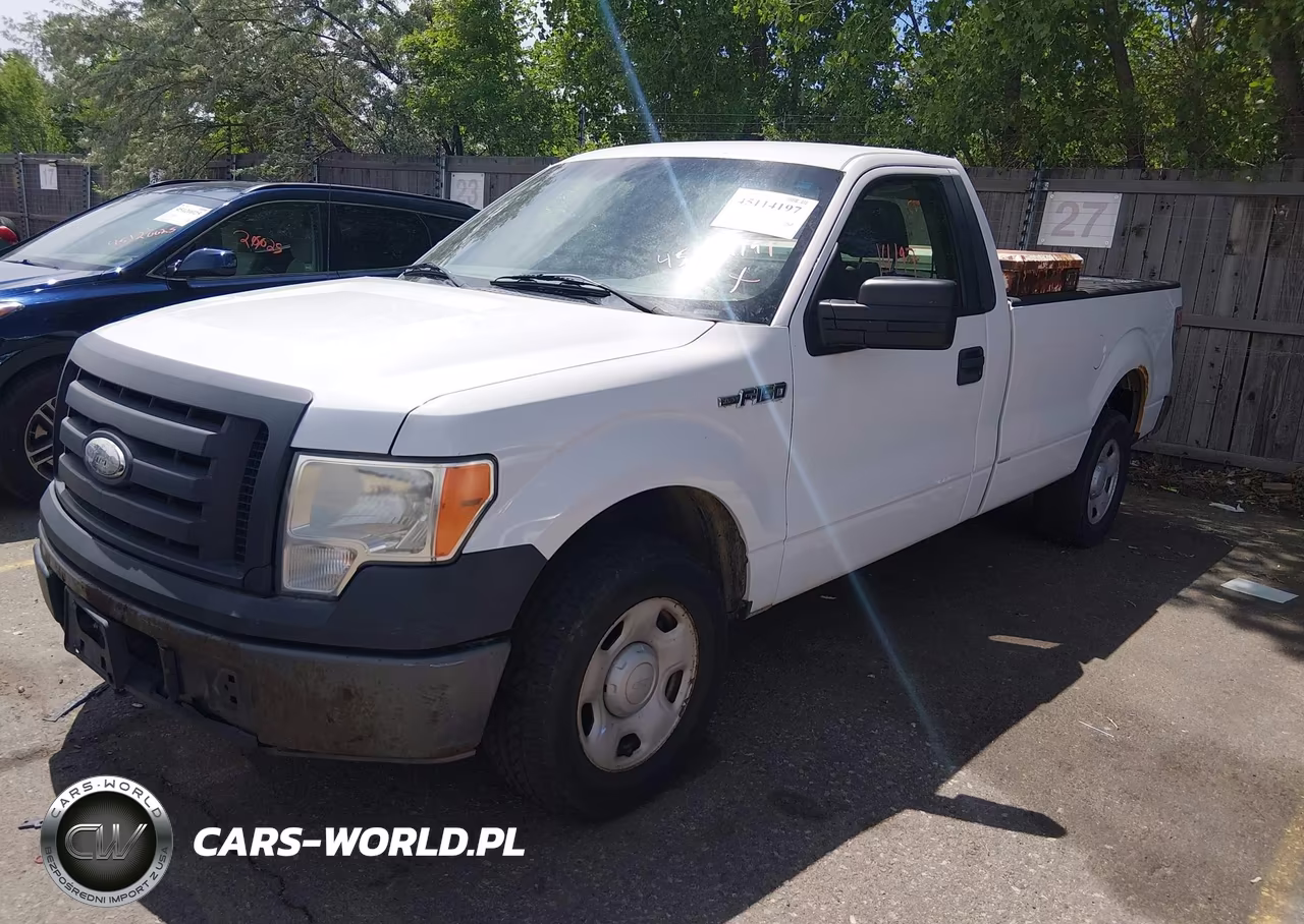 2009 Ford F-150 Stx-Xl-Xlt VIN:1FTRF12W59KB98315 - 2