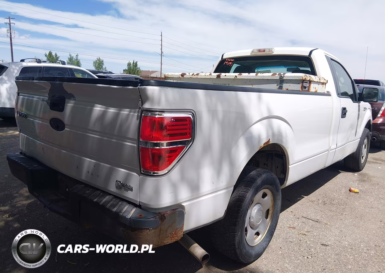2009 Ford F-150 Stx-Xl-Xlt VIN:1FTRF12W59KB98315 - 4