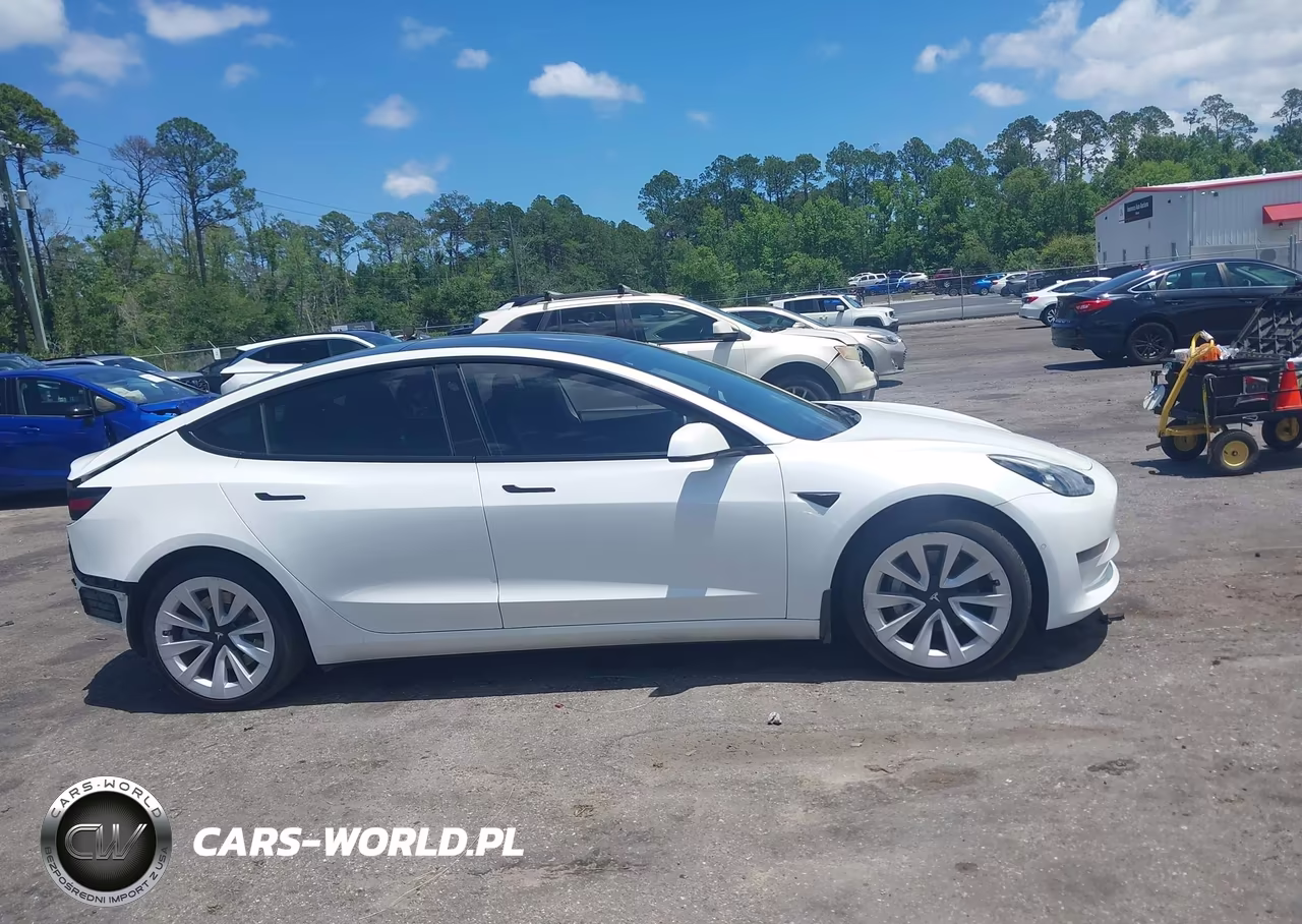 2021 Tesla Model 3 Standard Range Plus Rear-Wheel Drive VIN:5YJ3E1EA8MF045569 - 12