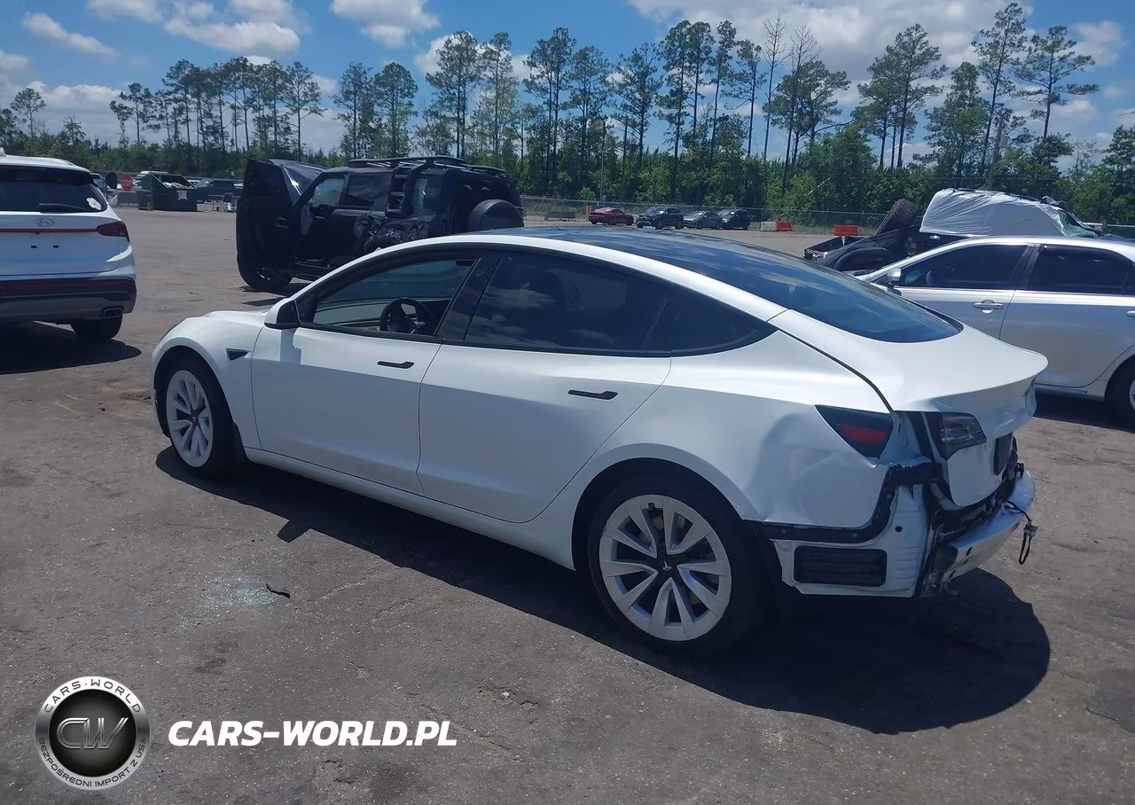 2021 Tesla Model 3 Standard Range Plus Rear-Wheel Drive VIN:5YJ3E1EA8MF045569 - 3