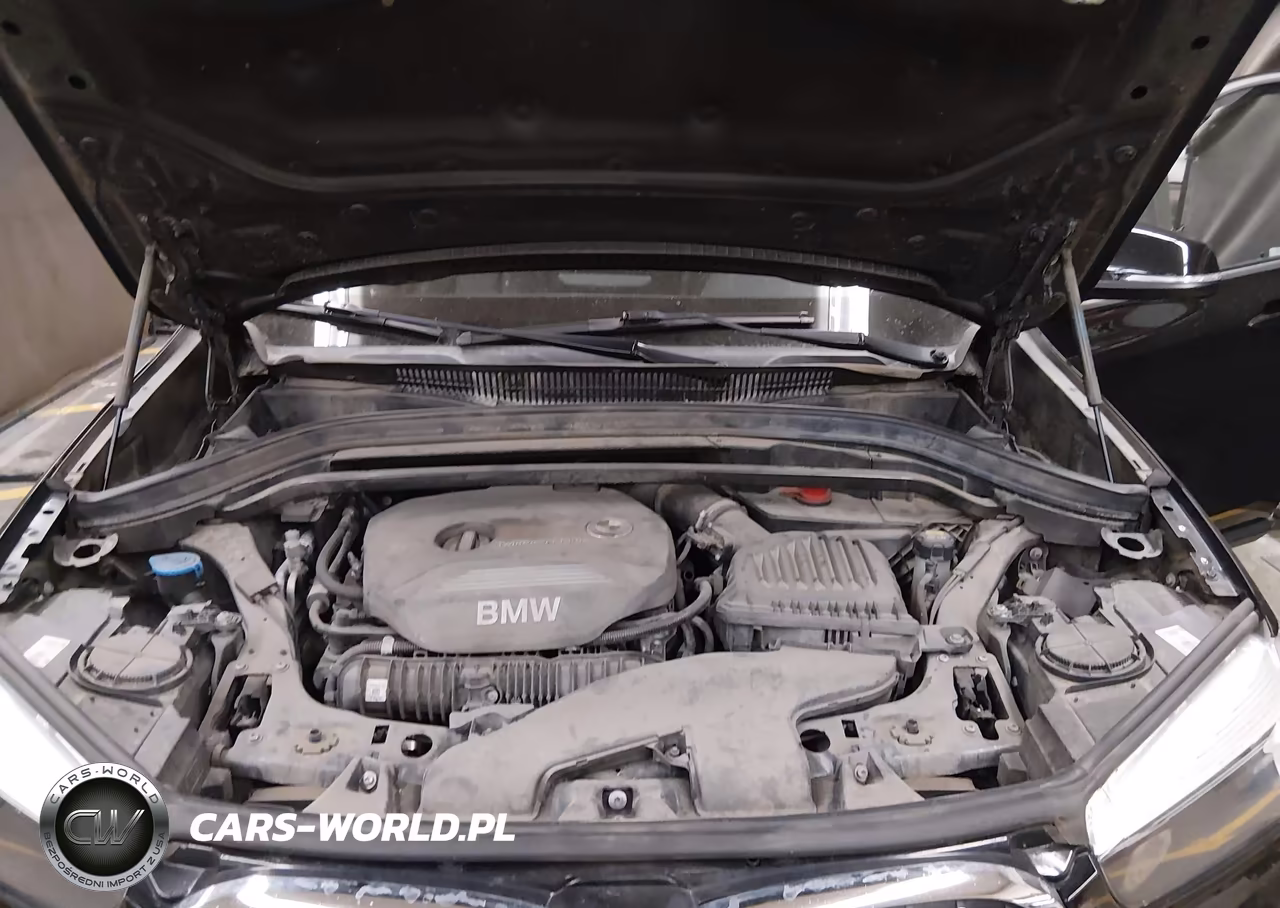 2018 BMW X1 Sdrive28I VIN:WBXHU7C35J5H45309 - 10