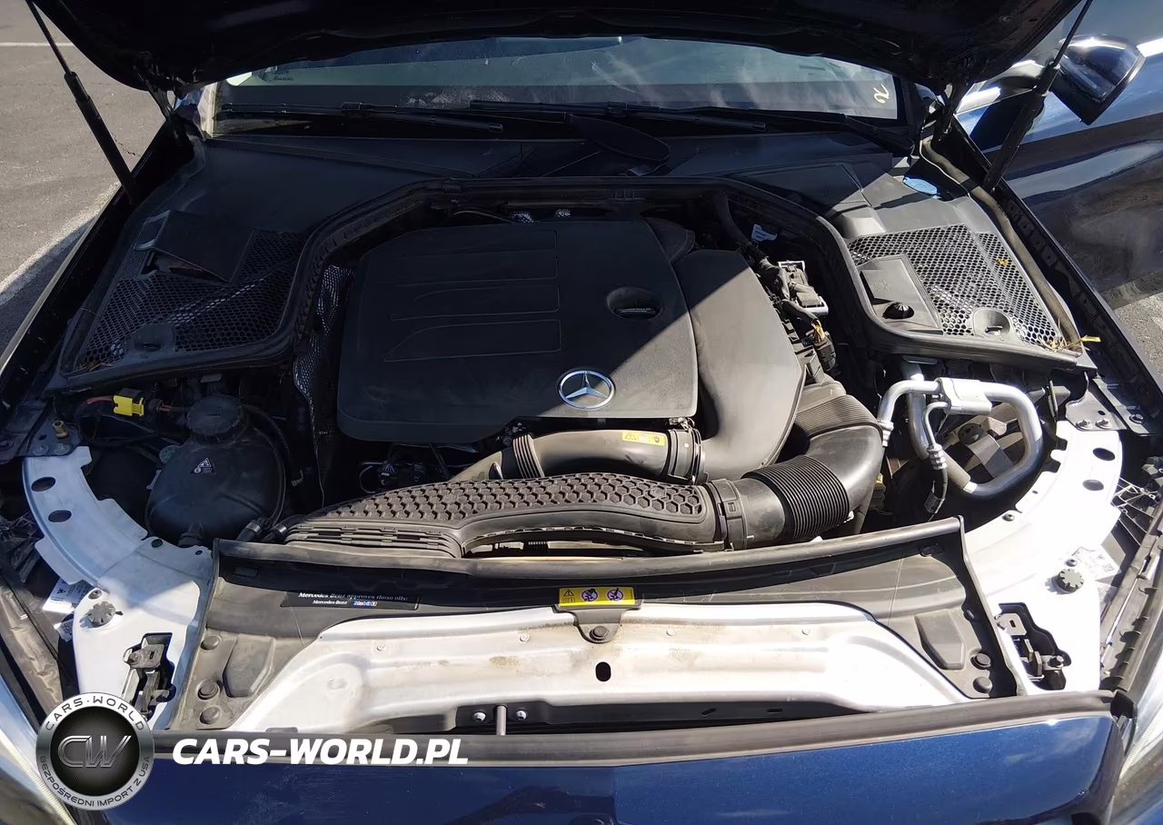 2019 Mercedes-Benz C 300 VIN:55SWF8DB7KU306344 - 10