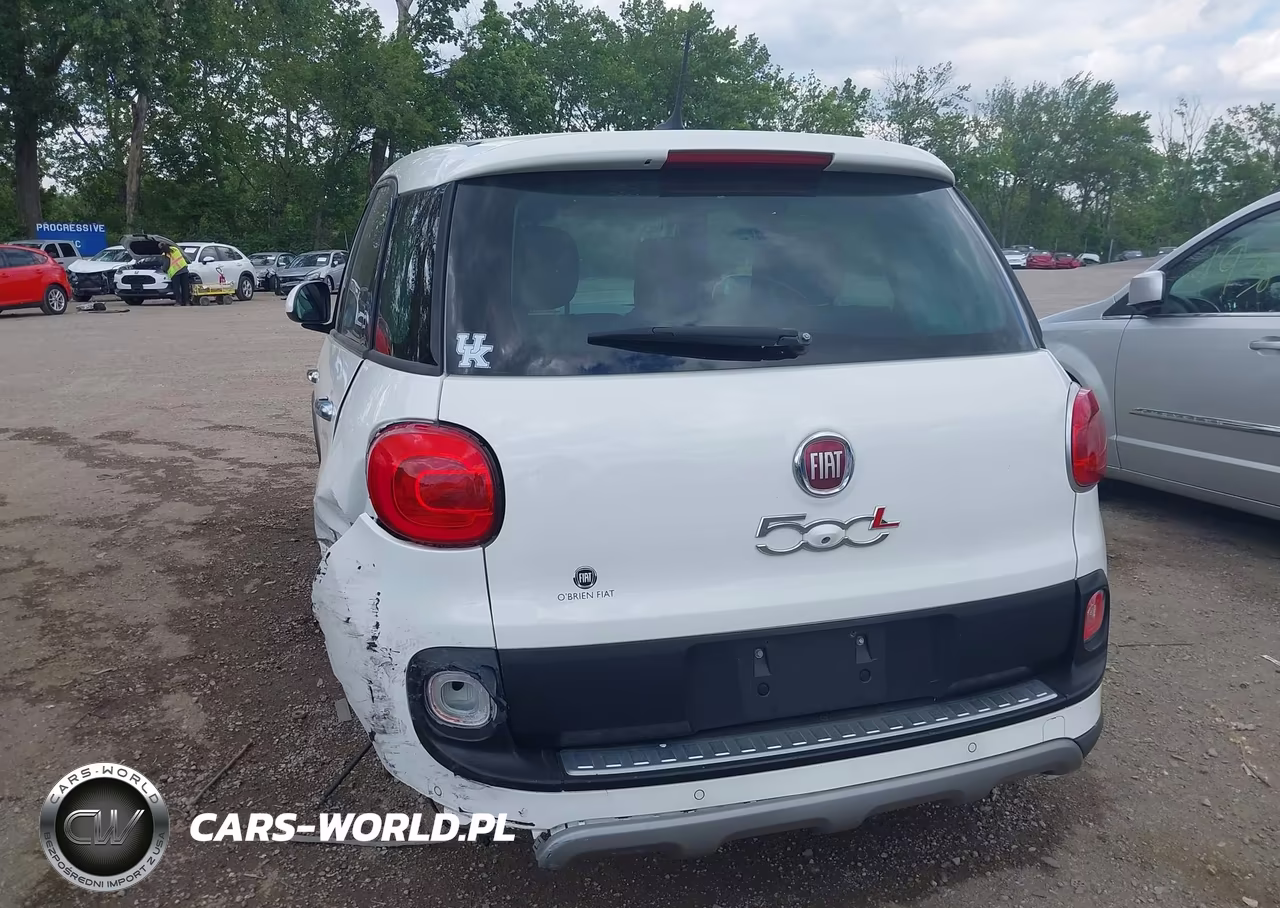 2014 Fiat 500L Trekking VIN:ZFBCFADH9EZ012560 - 19
