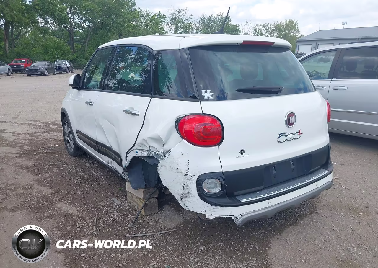2014 Fiat 500L Trekking VIN:ZFBCFADH9EZ012560 - 6