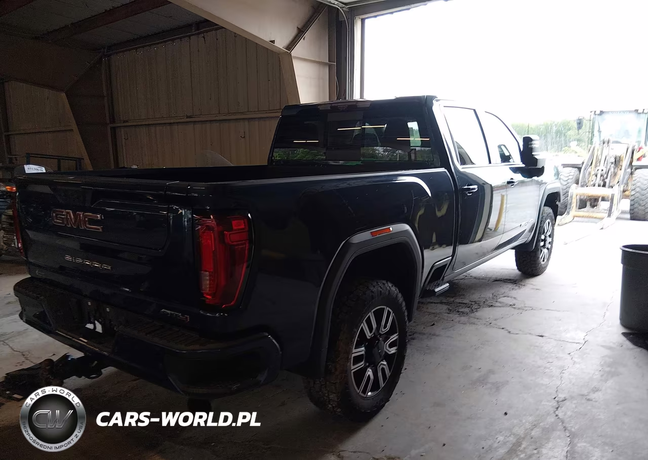 2020 GMC Sierra 2500Hd 4Wd Standard Bed At4 VIN:1GT49PEY6LF142384 - 4