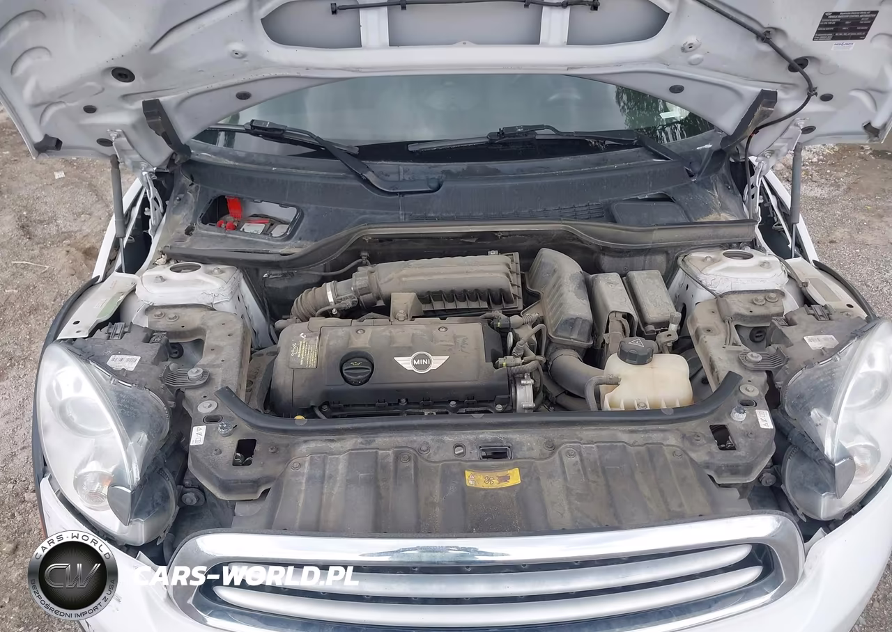2013 Mini Paceman Cooper VIN:WMWSS1C59DWN46487 - 10