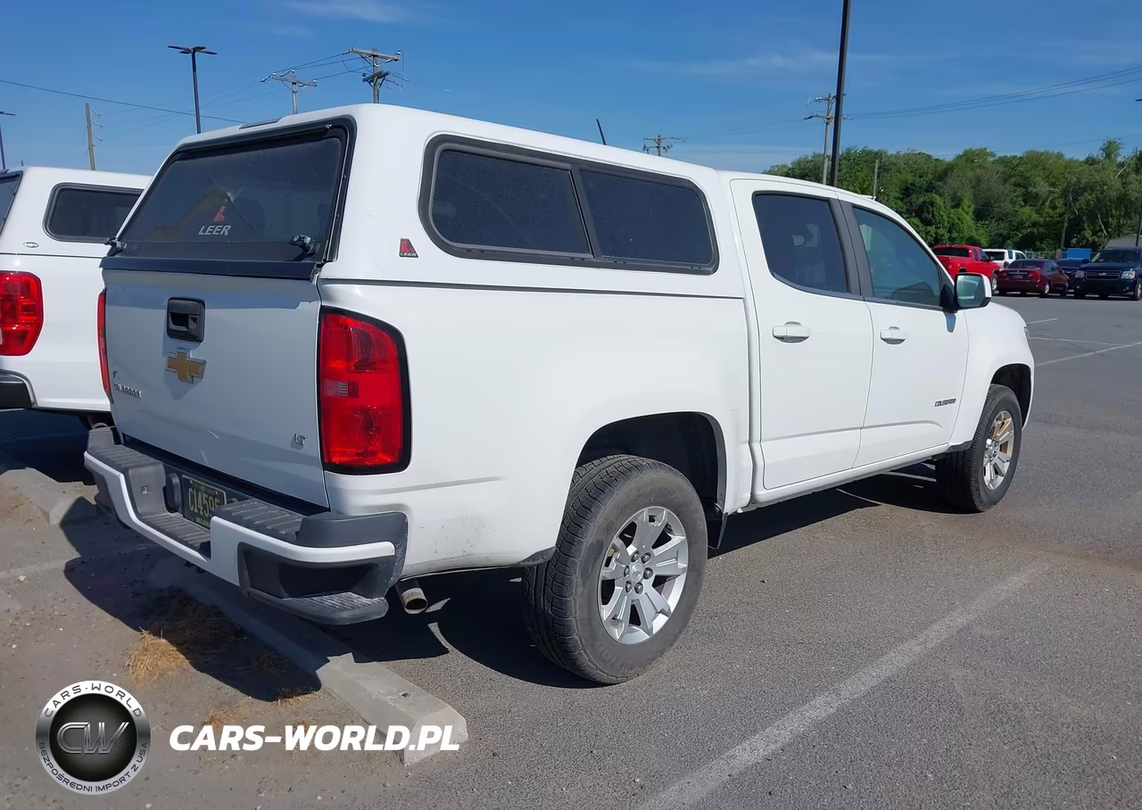 2016 Chevrolet Colorado Lt VIN:1GCGSCEA6G1233865 - 4