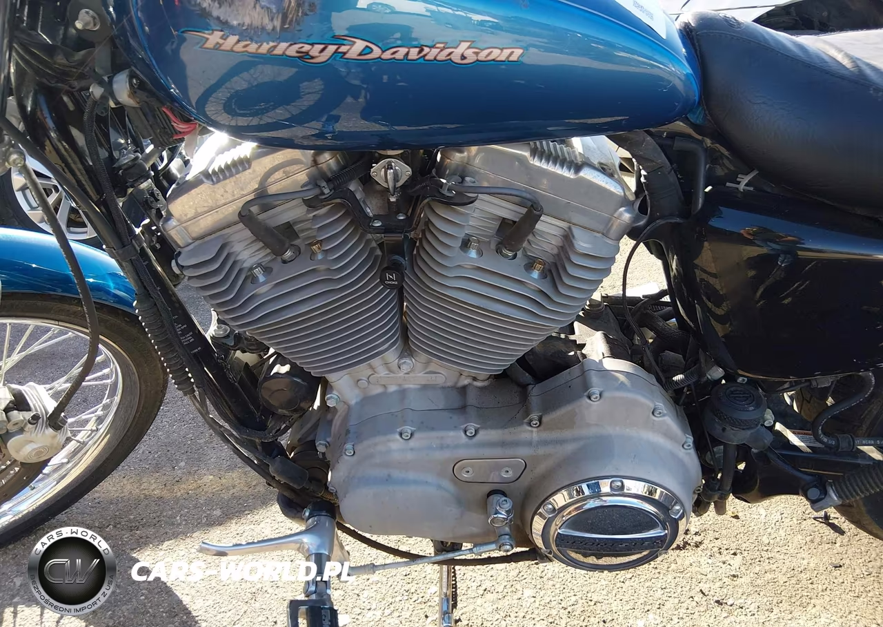 2006 Harley-Davidson Xl883 C VIN:1HD4CJM196K414780 - 9