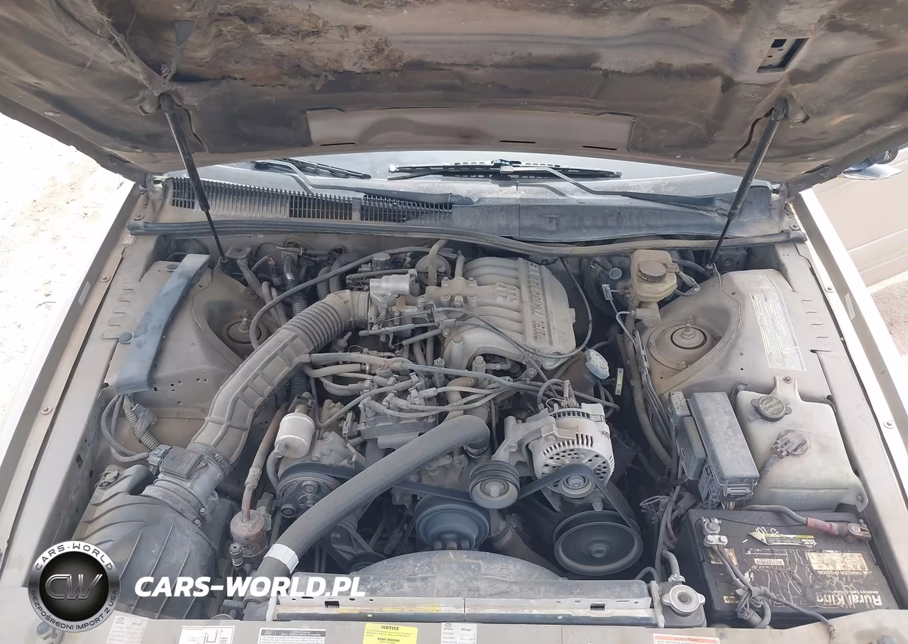 1997 Ford Thunderbird Lx VIN:1FALP6248VH126665 - 10
