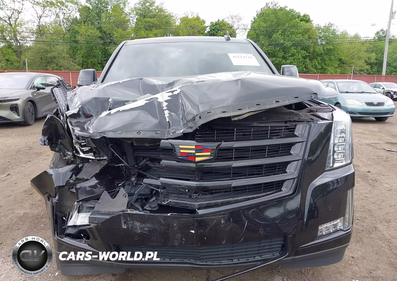 2020 Cadillac Escalade 4Wd Luxury VIN:1GYS4BKJ2LR217896 - 12