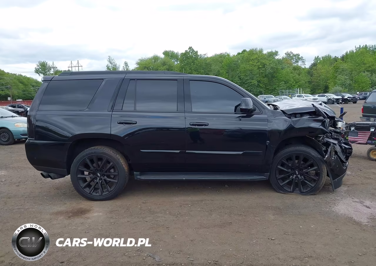 2020 Cadillac Escalade 4Wd Luxury VIN:1GYS4BKJ2LR217896 - 13