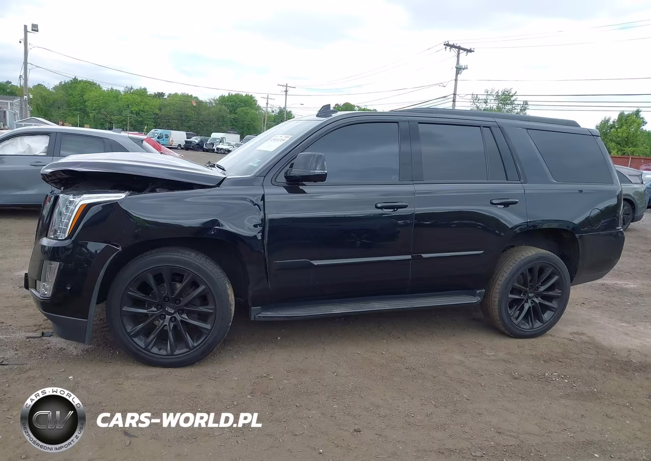 2020 Cadillac Escalade 4Wd Luxury VIN:1GYS4BKJ2LR217896 - 14
