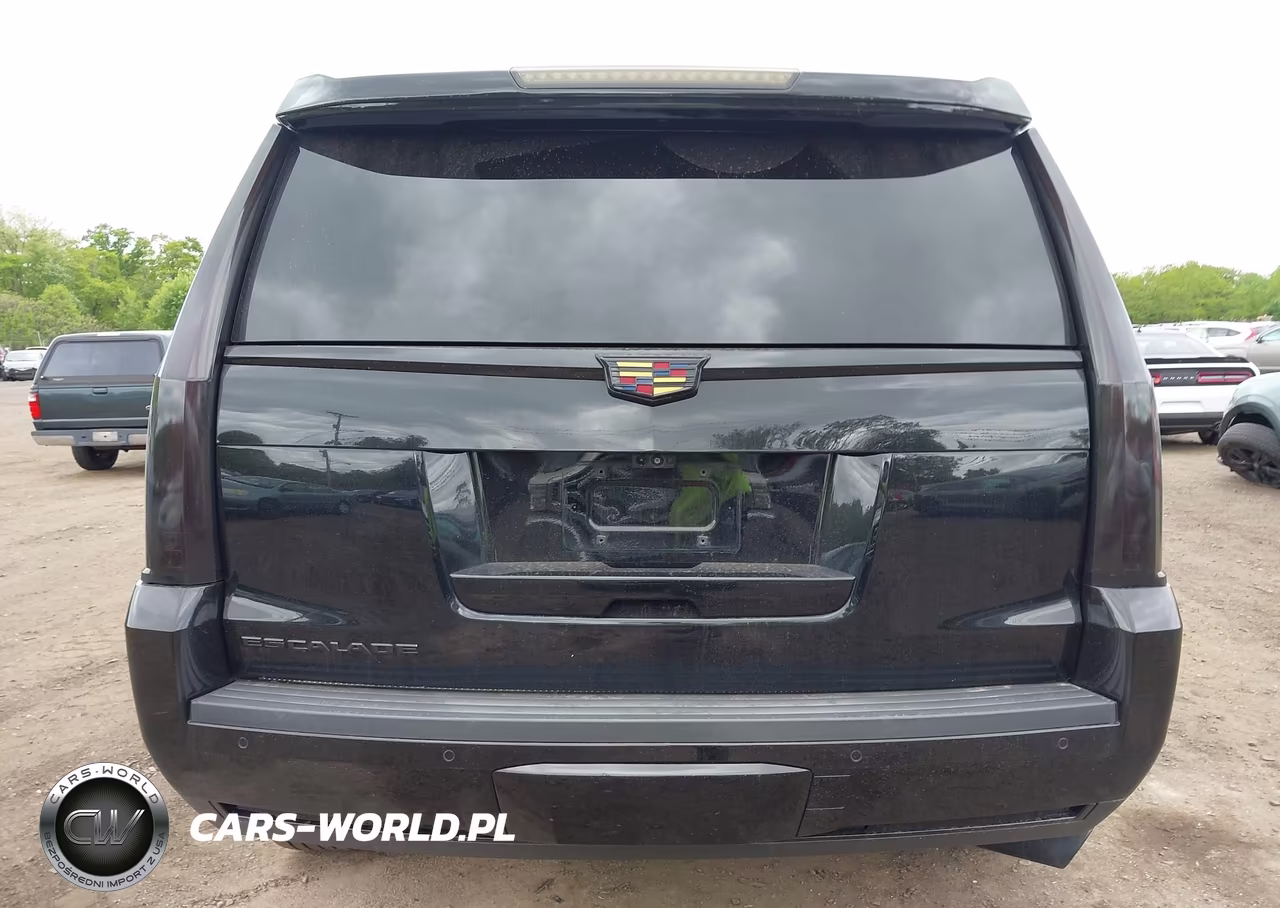 2020 Cadillac Escalade 4Wd Luxury VIN:1GYS4BKJ2LR217896 - 16