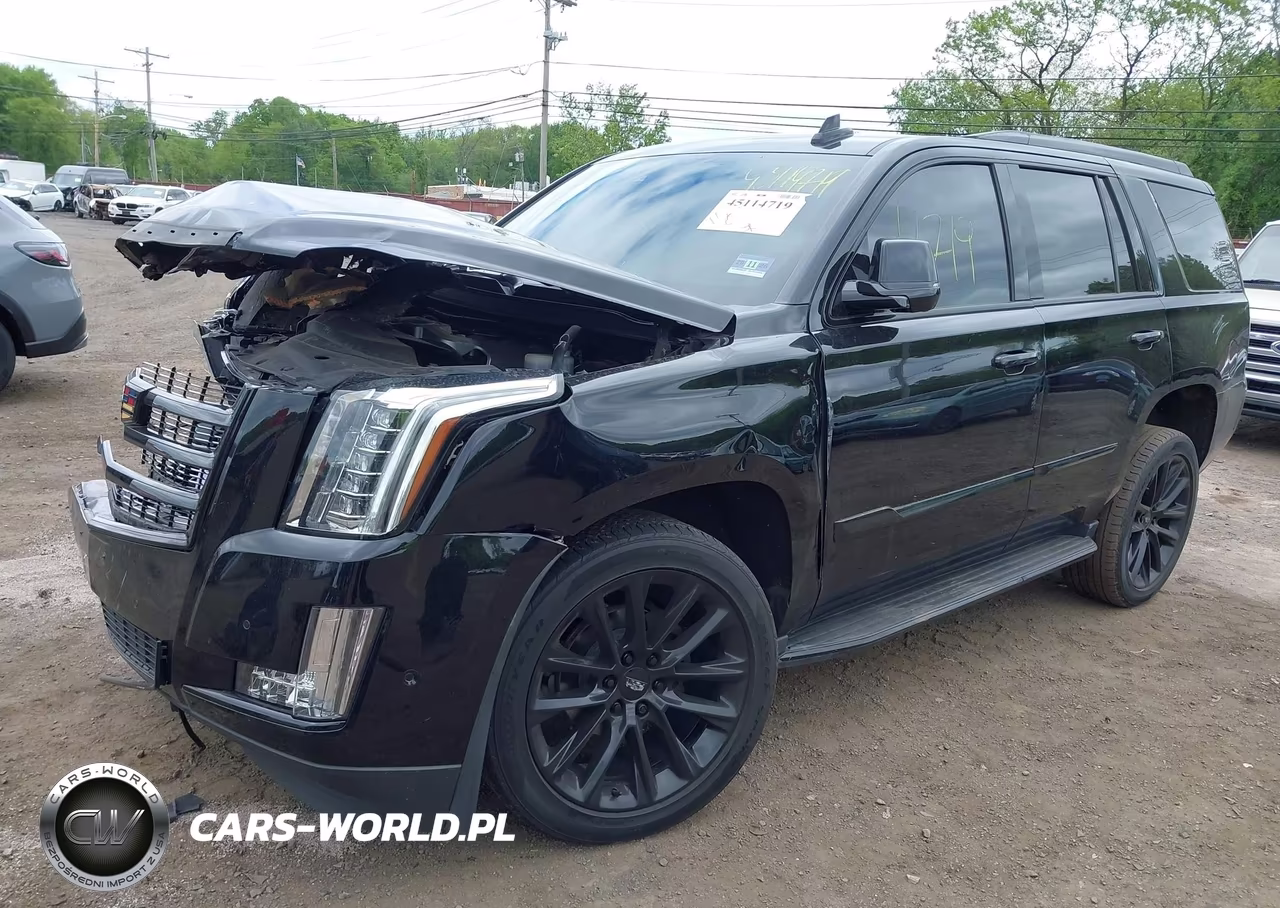 2020 Cadillac Escalade 4Wd Luxury VIN:1GYS4BKJ2LR217896 - 17