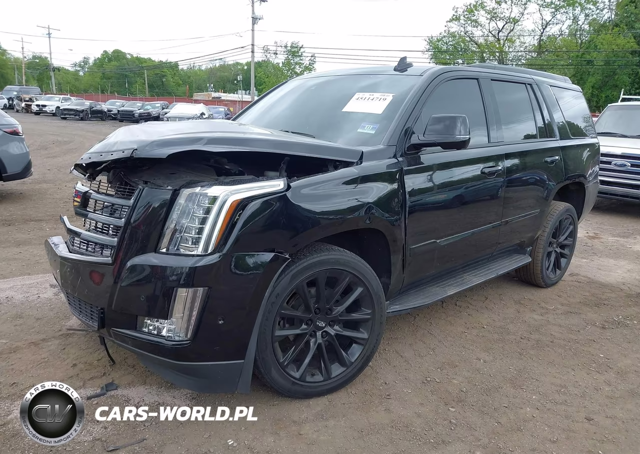 2020 Cadillac Escalade 4Wd Luxury VIN:1GYS4BKJ2LR217896 - 2