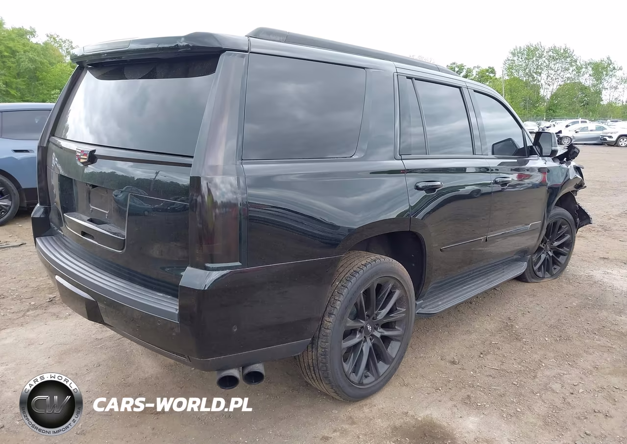 2020 Cadillac Escalade 4Wd Luxury VIN:1GYS4BKJ2LR217896 - 4
