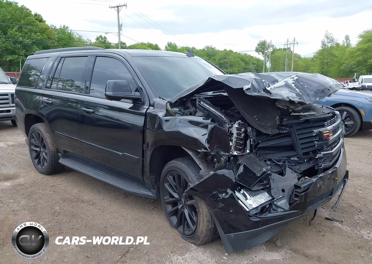 2020 Cadillac Escalade 4Wd Luxury VIN:1GYS4BKJ2LR217896 - 6