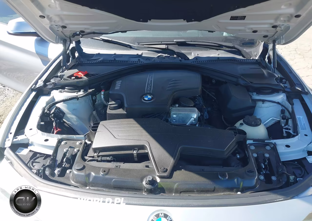 2014 BMW 428I VIN:WBA3N7C51EF718172 - 10