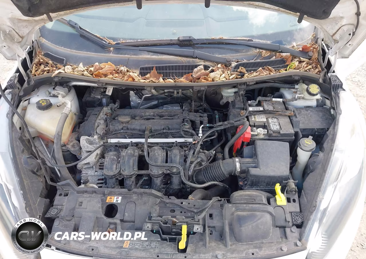 2014 Ford Fiesta Se VIN:3FADP4BJ2EM202861 - 10