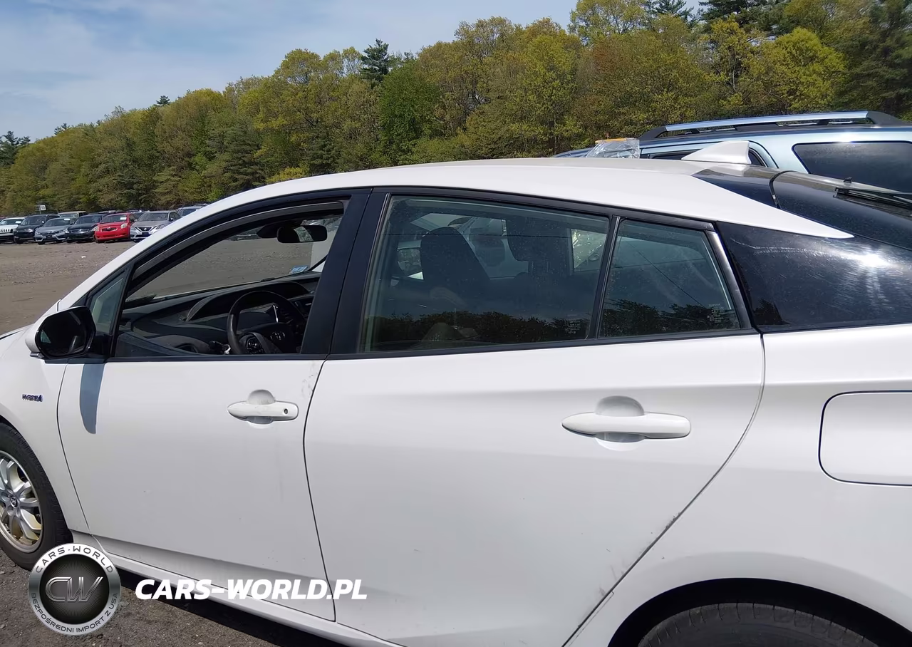 2019 Toyota Prius VIN:JTDL9RFU6K3006694 - 13