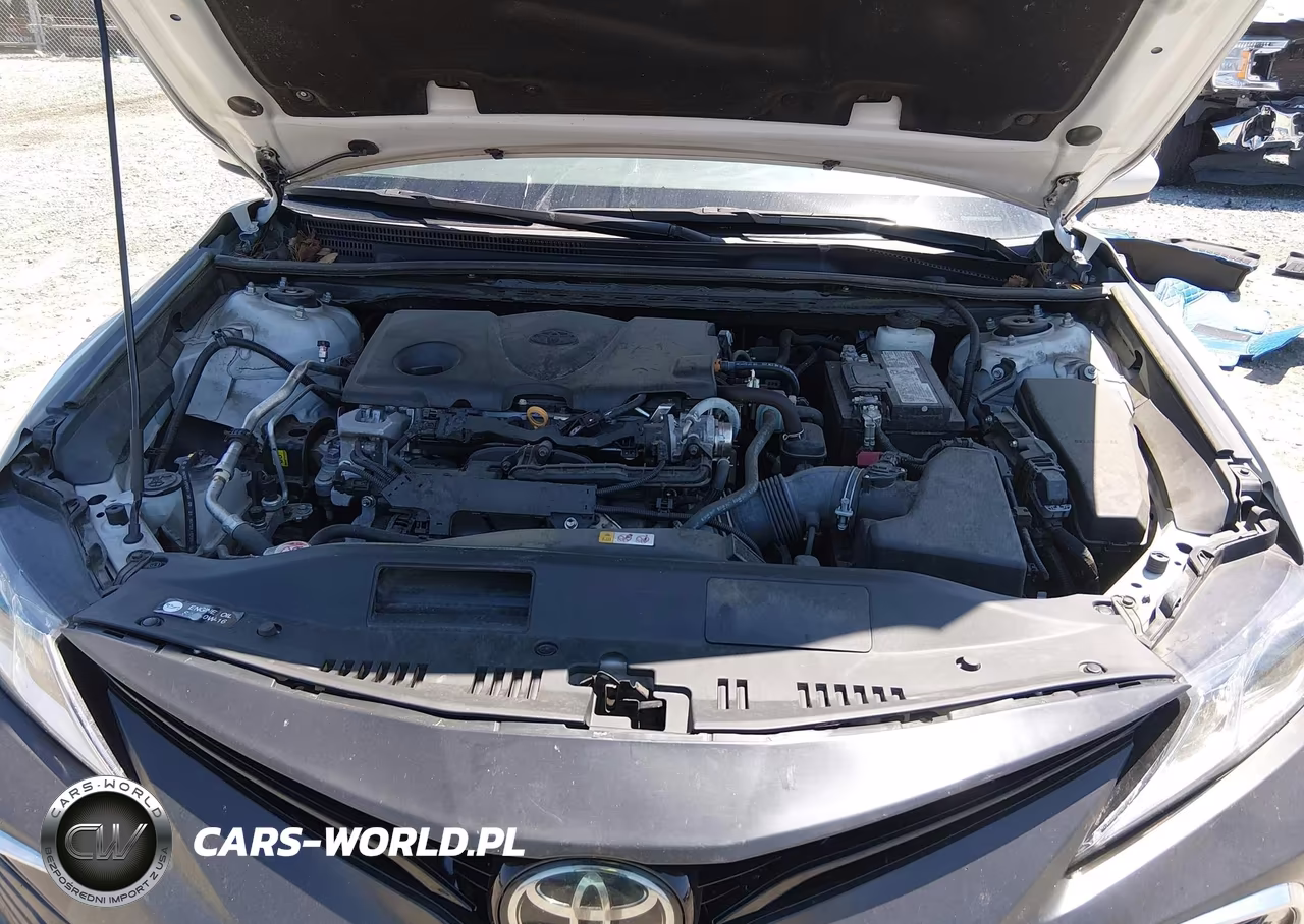 2023 Toyota Camry Le VIN:4T1C11AK3PU085771 - 10