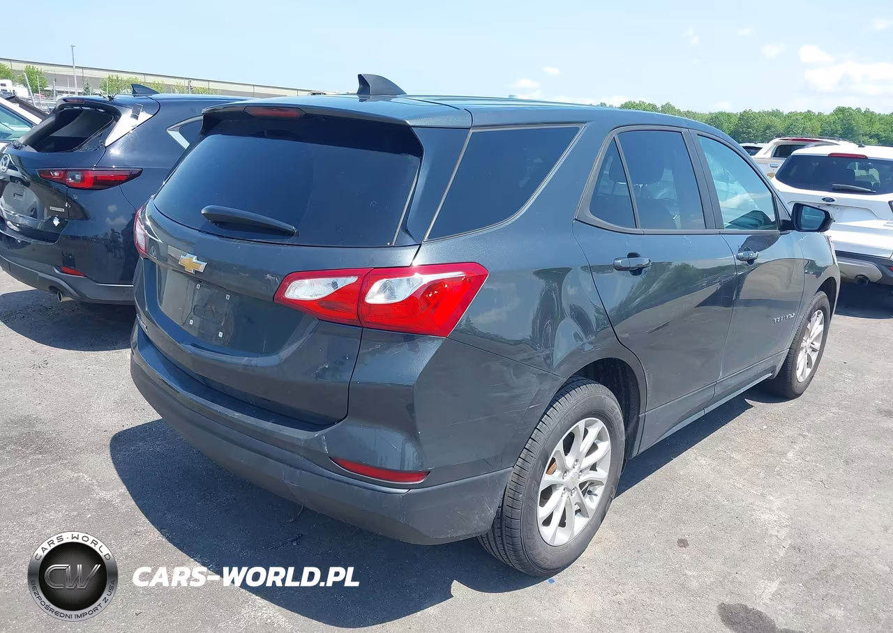 2020 Chevrolet Equinox Fwd Ls VIN:2GNAXHEV8L6258854 - 4