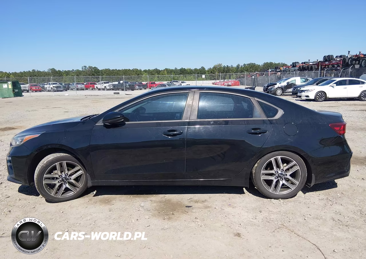 2019 Kia Forte S VIN:3KPF34AD0KE044293 - 15