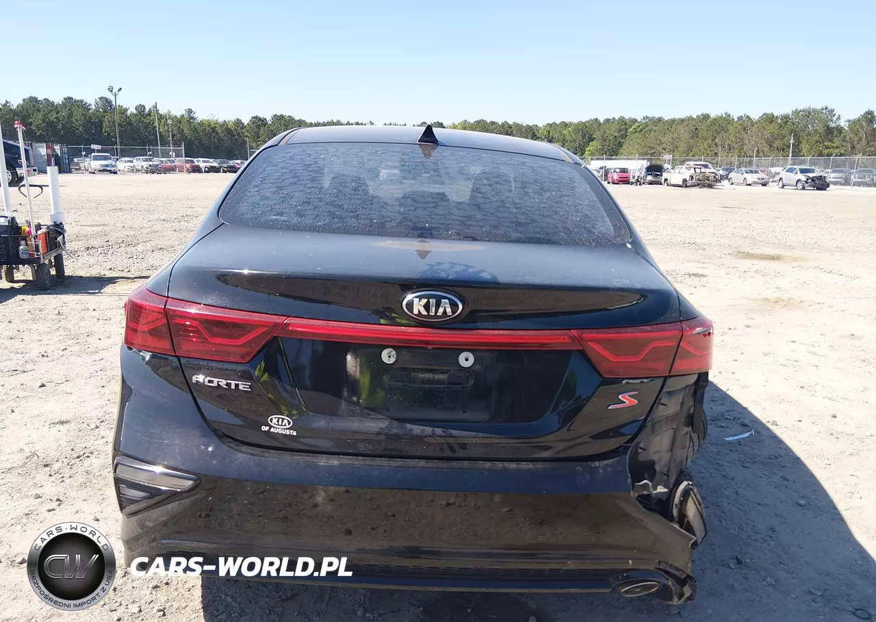 2019 Kia Forte S VIN:3KPF34AD0KE044293 - 17