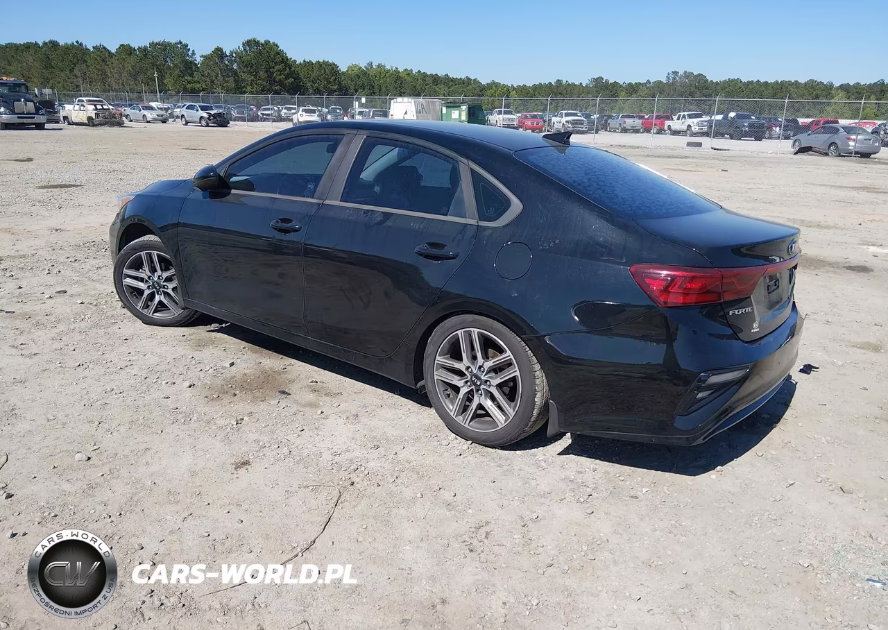 2019 Kia Forte S VIN:3KPF34AD0KE044293 - 3