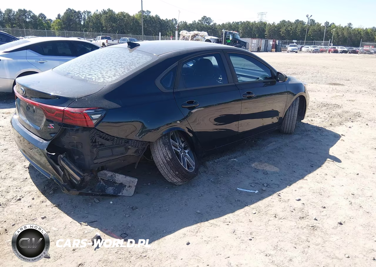 2019 Kia Forte S VIN:3KPF34AD0KE044293 - 4
