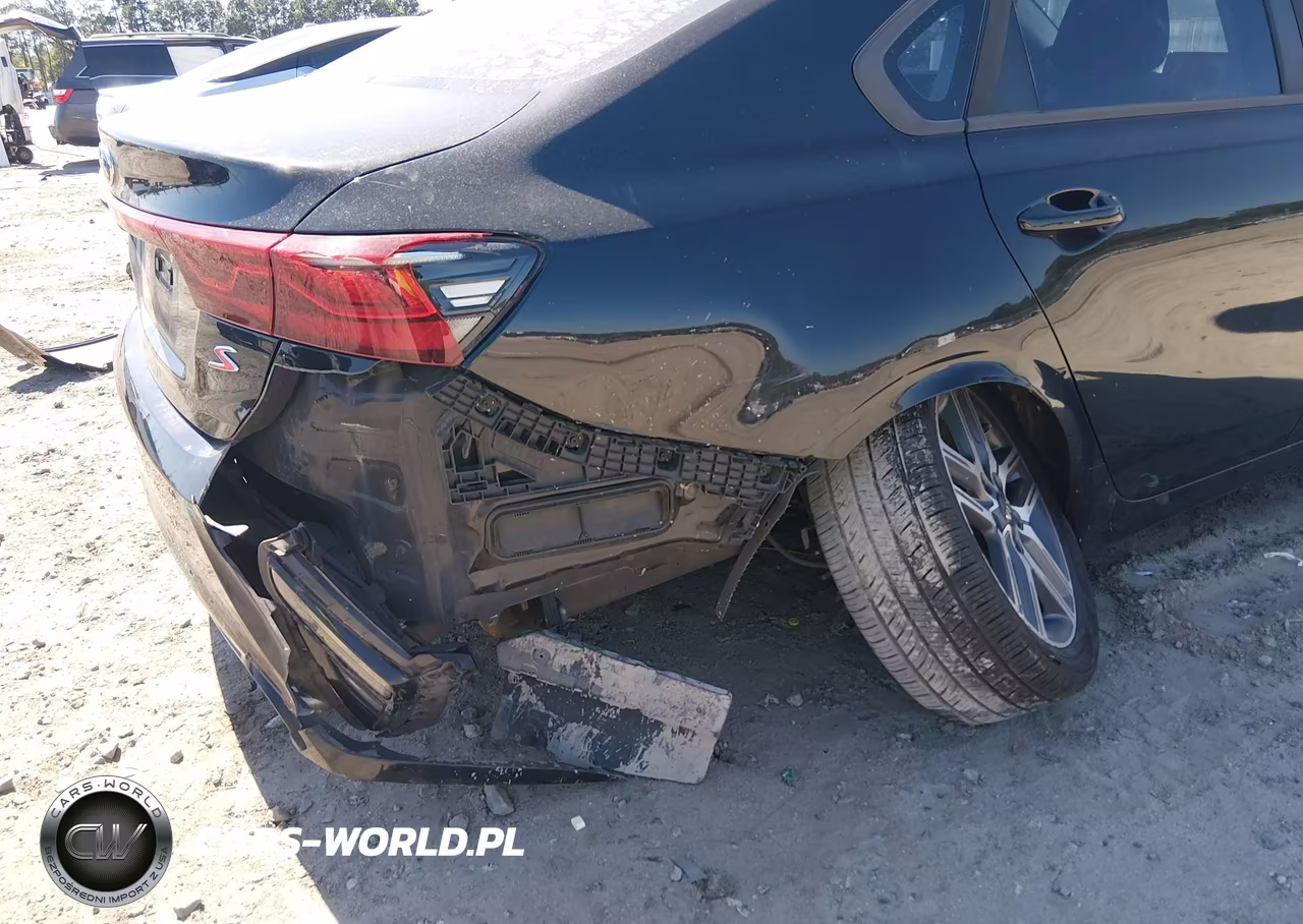 2019 Kia Forte S VIN:3KPF34AD0KE044293 - 6