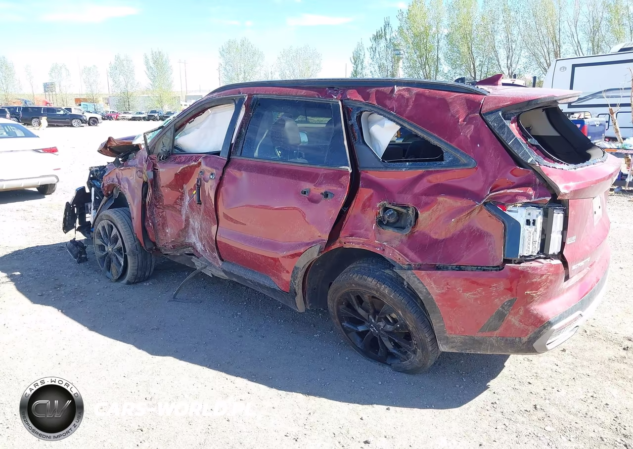 2023 Kia Sorento Sx VIN:5XYRKDLF4PG190558 - 3