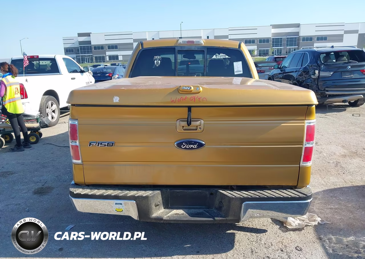 2009 Ford F-150 King Ranch-Lariat-Platinum-Xl-Xlt VIN:1FTPW12VX9KB37721 - 16