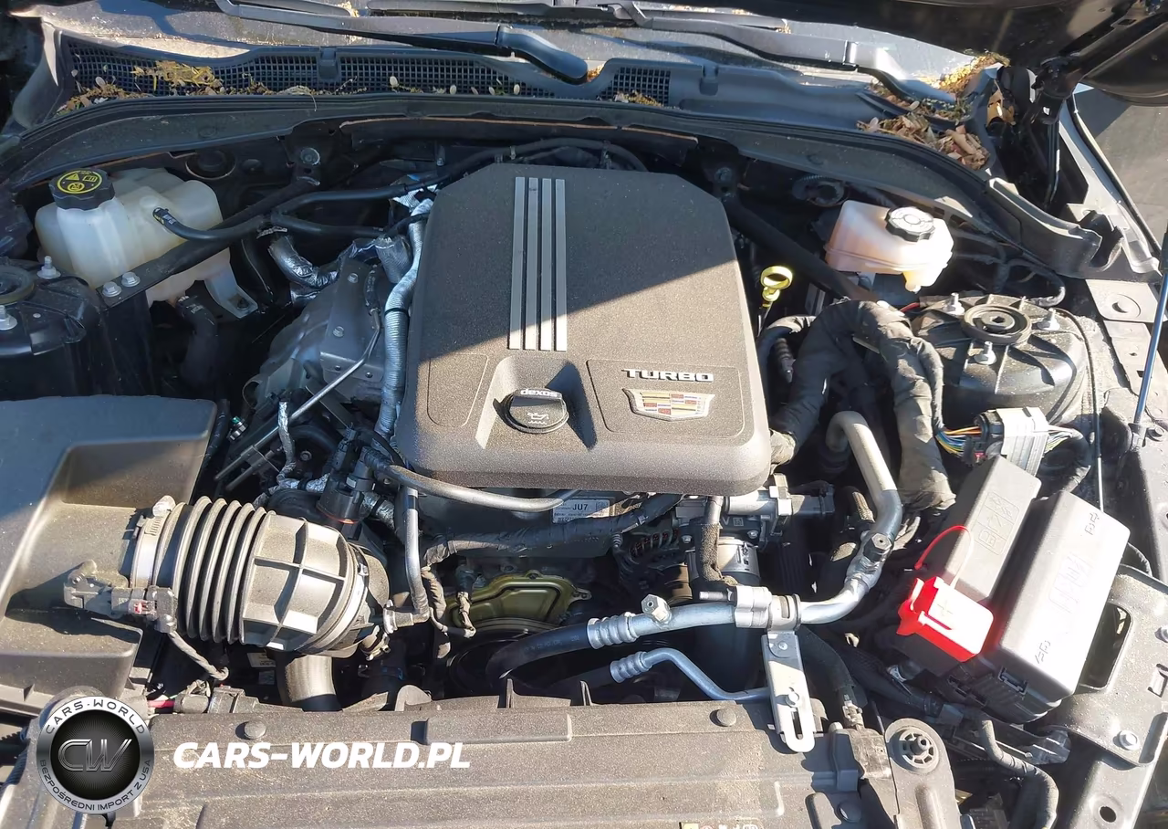 2023 Cadillac Ct4 Luxury VIN:1G6DK5RK3P0113967 - 10