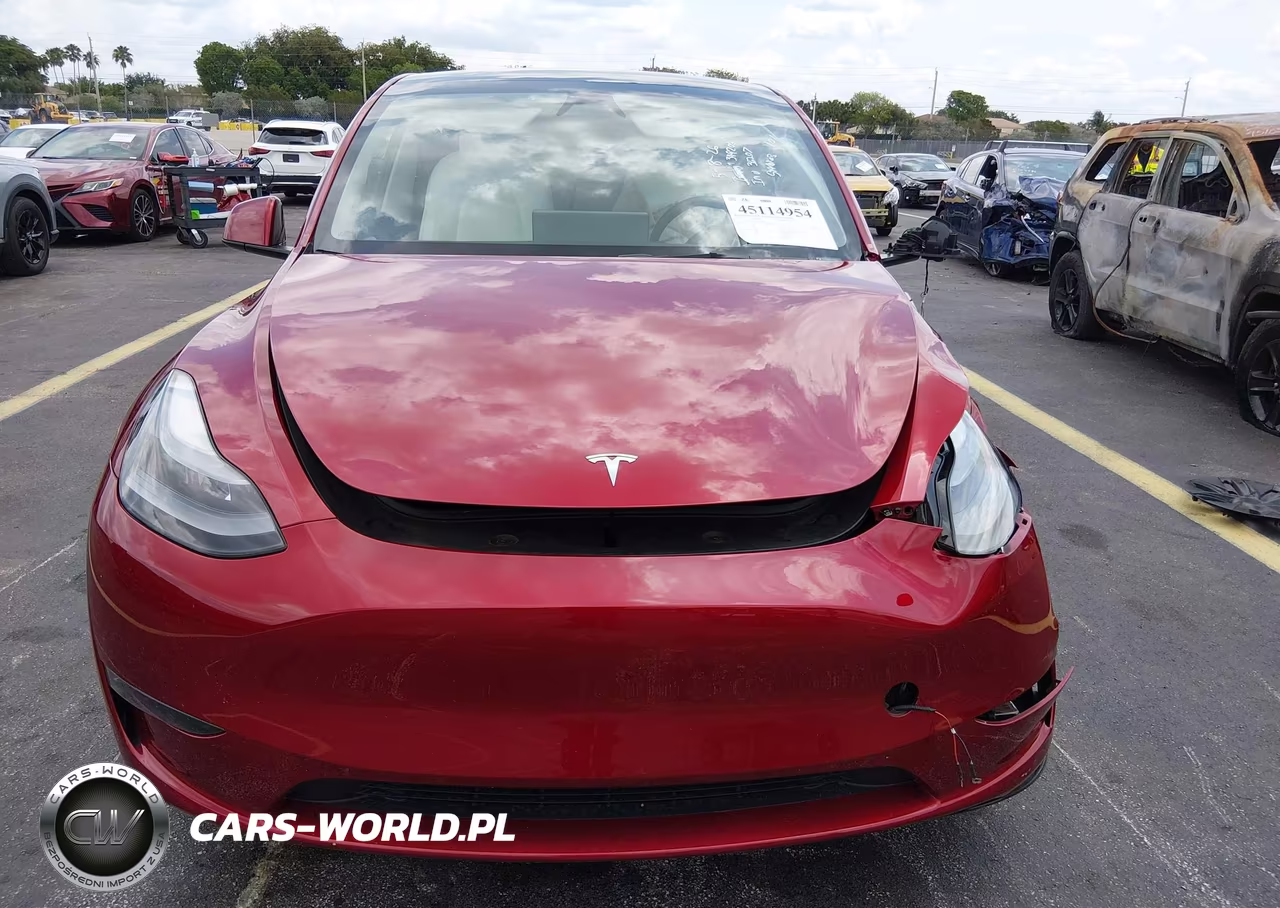2025 Tesla Model Y Long Range Dual Motor Rear-Wheel Drive VIN:7SAYGDED1SA349206 - 11