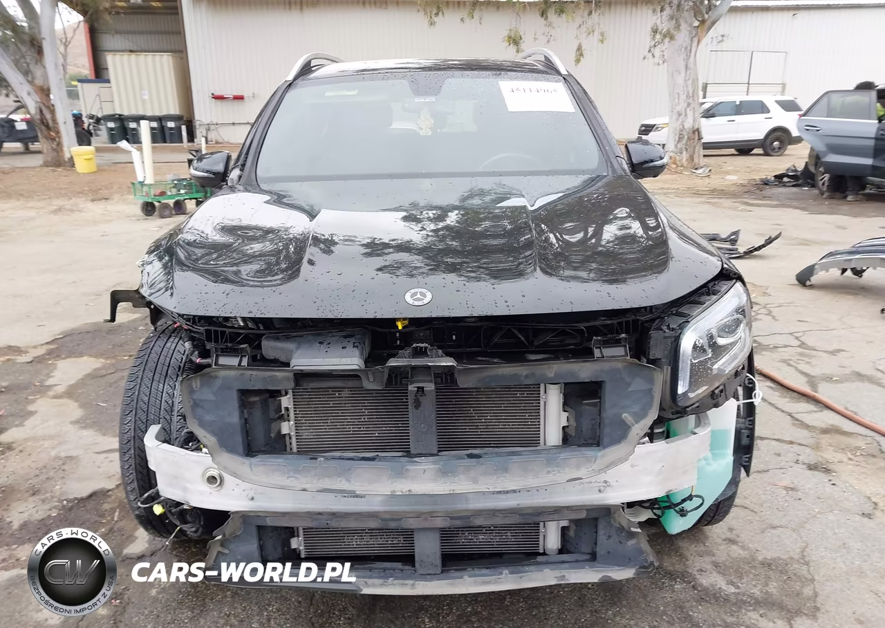 2021 Mercedes-Benz Glb 250 VIN:W1N4M4GB3MW090616 - 12
