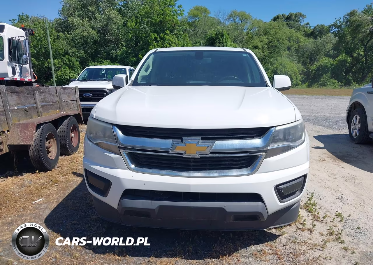 2019 Chevrolet Colorado Lt VIN:1GCGSCEN7K1173879 - 12