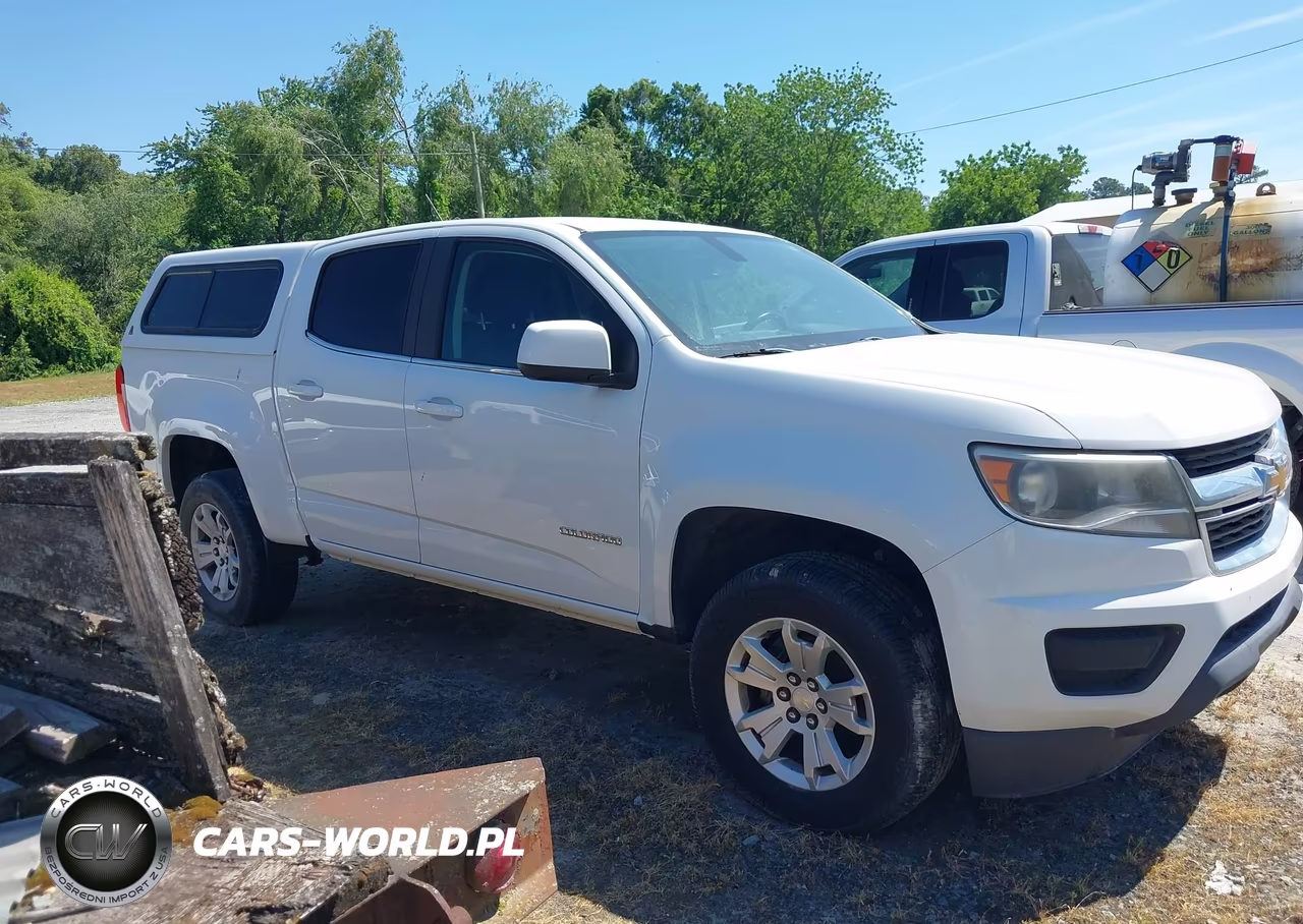 2019 Chevrolet Colorado Lt VIN:1GCGSCEN7K1173879 - 13