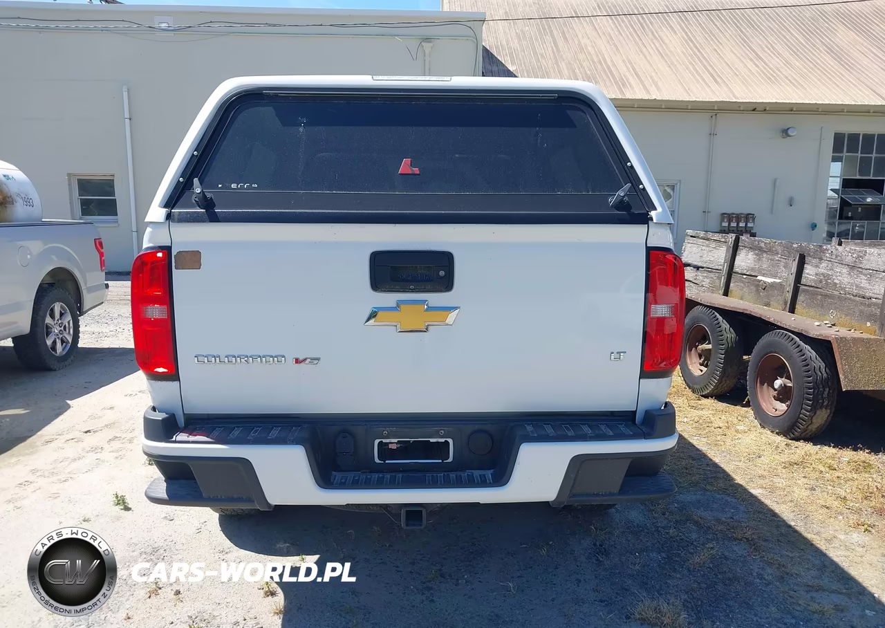 2019 Chevrolet Colorado Lt VIN:1GCGSCEN7K1173879 - 16